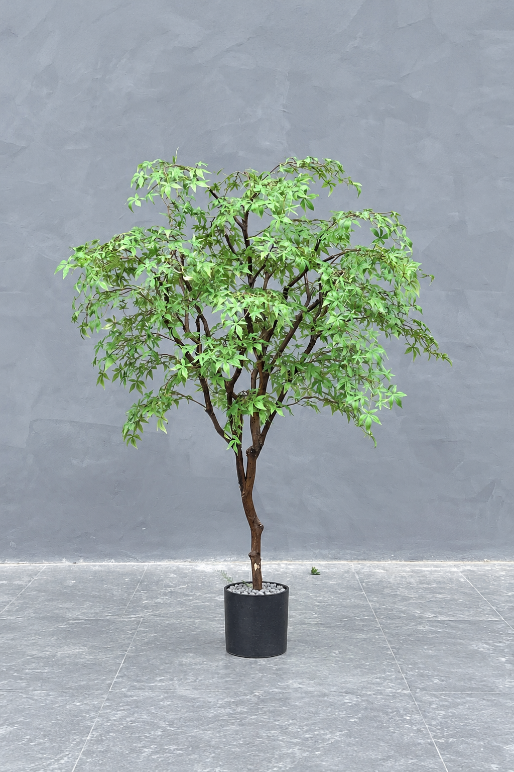 Artificial Pieris Tree