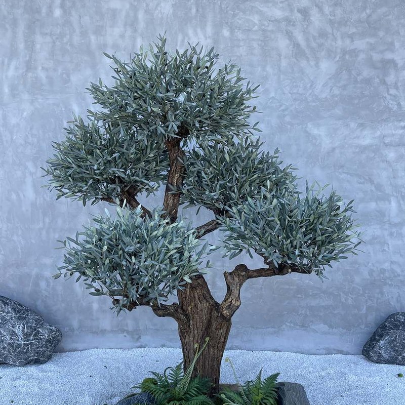 Olive 08