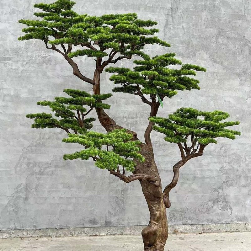 Pine 02