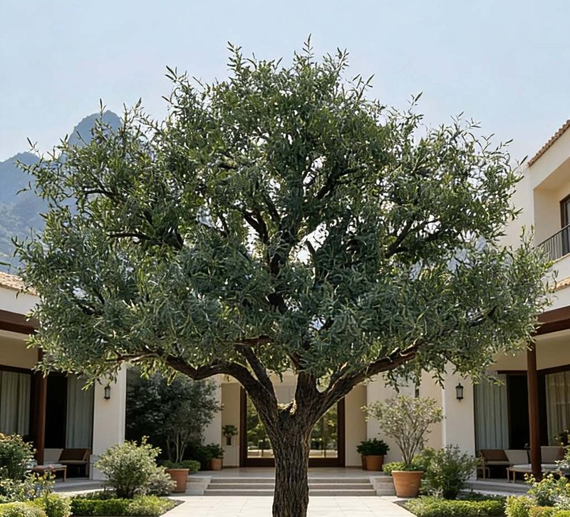 Why Natural Solid Wood Trunks Make Artificial Trees More Realistic Why Natural Solid Wood Trunks Make Artificial Trees More Realistic